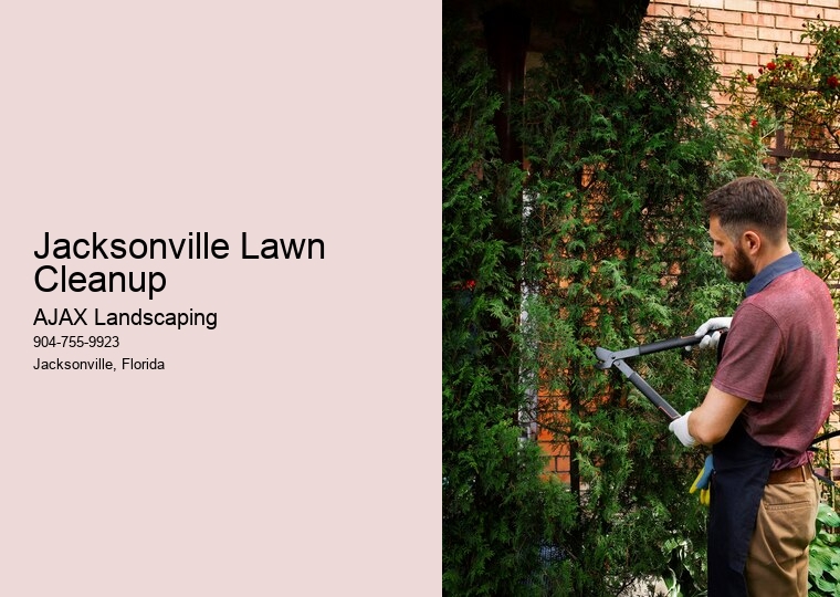 Jacksonville Lawn Cleanup